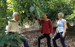 SEASON 1, Ep 4: Green Goddess Goes to Market
